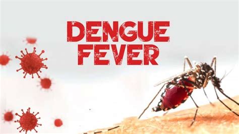 dengue fever barbados 2024